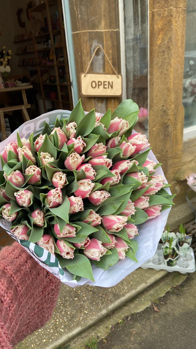 An Armful of Mixed British Tulips