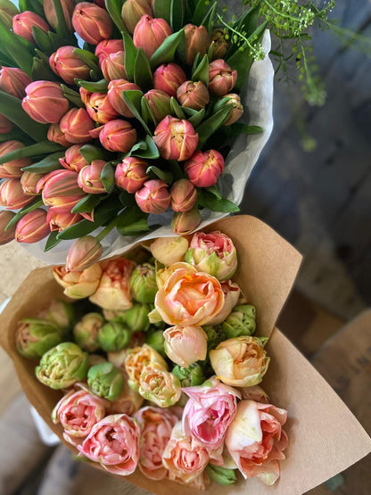An Armful of Mixed British Tulips