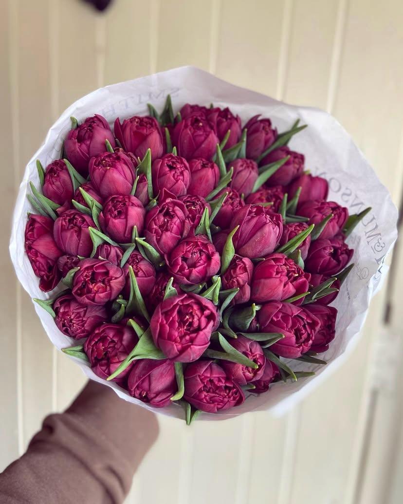An Armful of Mixed British Tulips