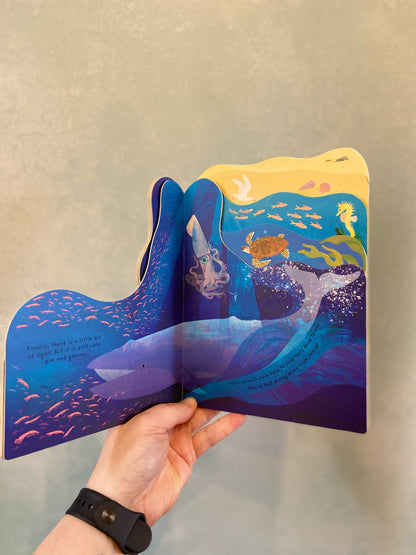 Animal Homes - Ocean Board Book
