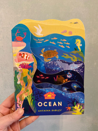 Animal Homes - Ocean Board Book