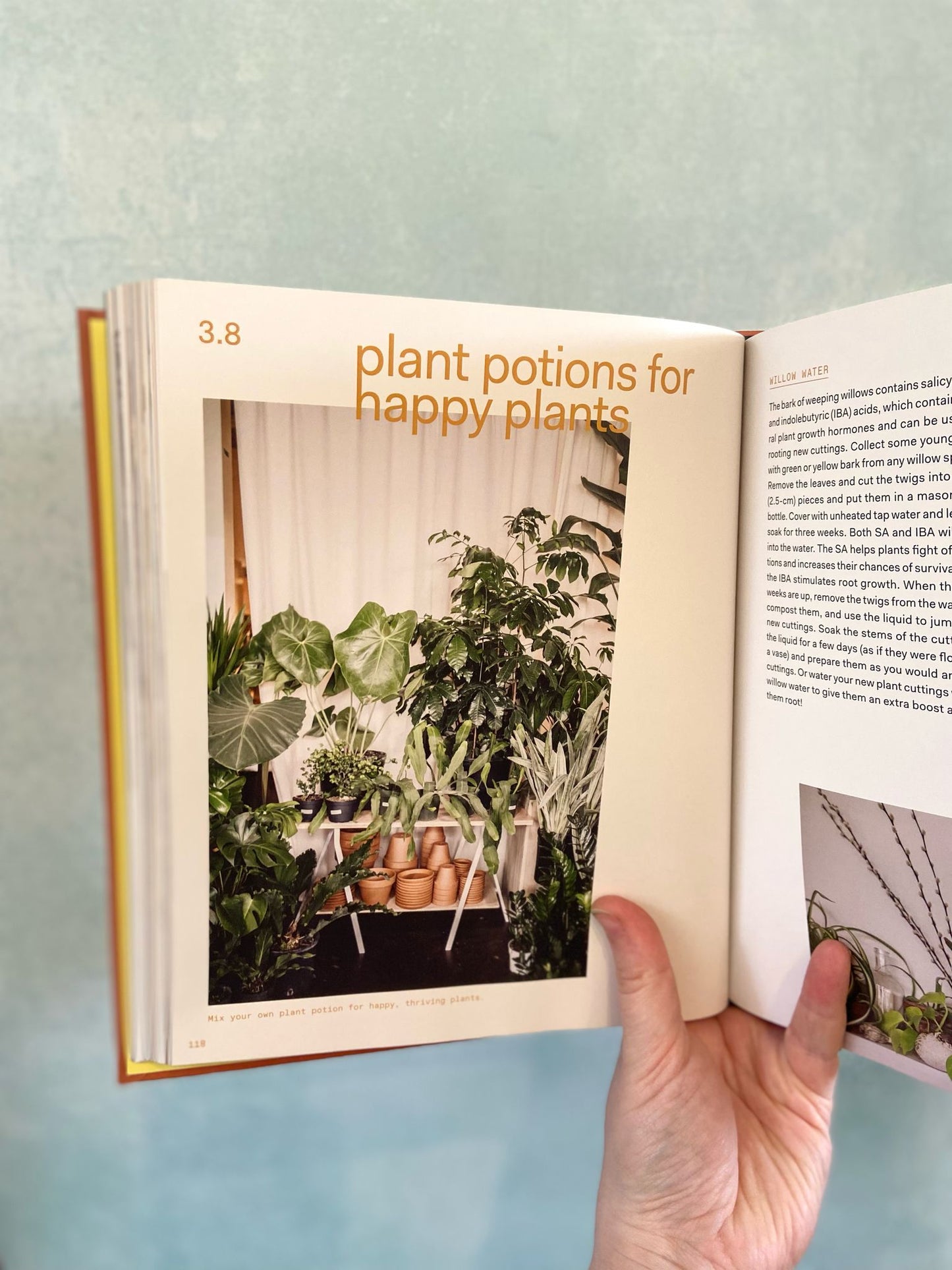 Plant Tribe: Living Happily Ever After with Plants