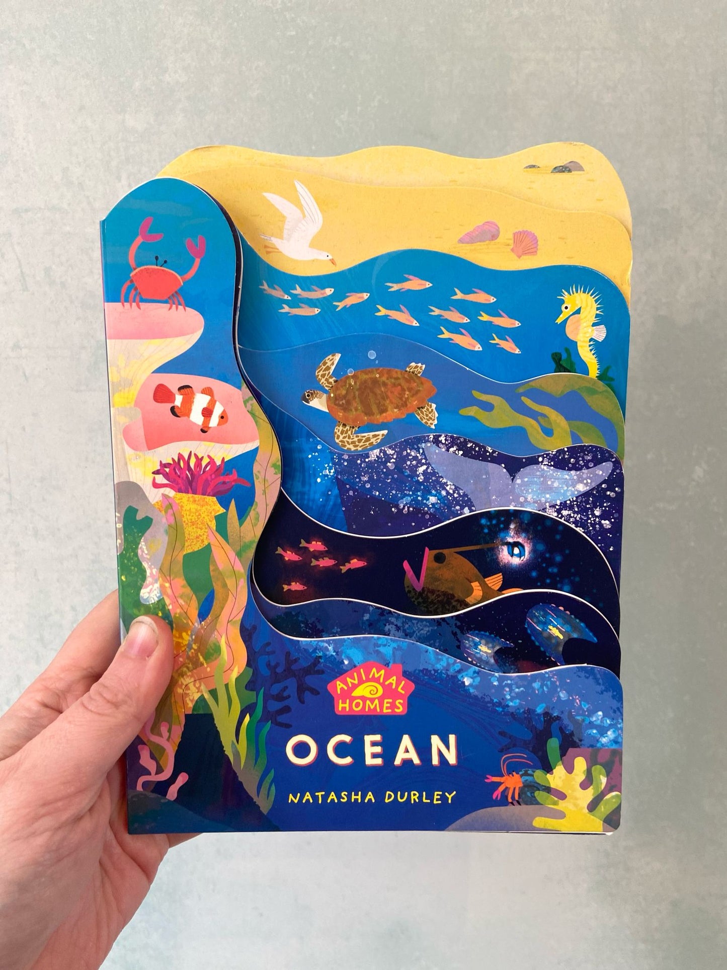 Animal Homes - Ocean Board Book by Natasha Durley