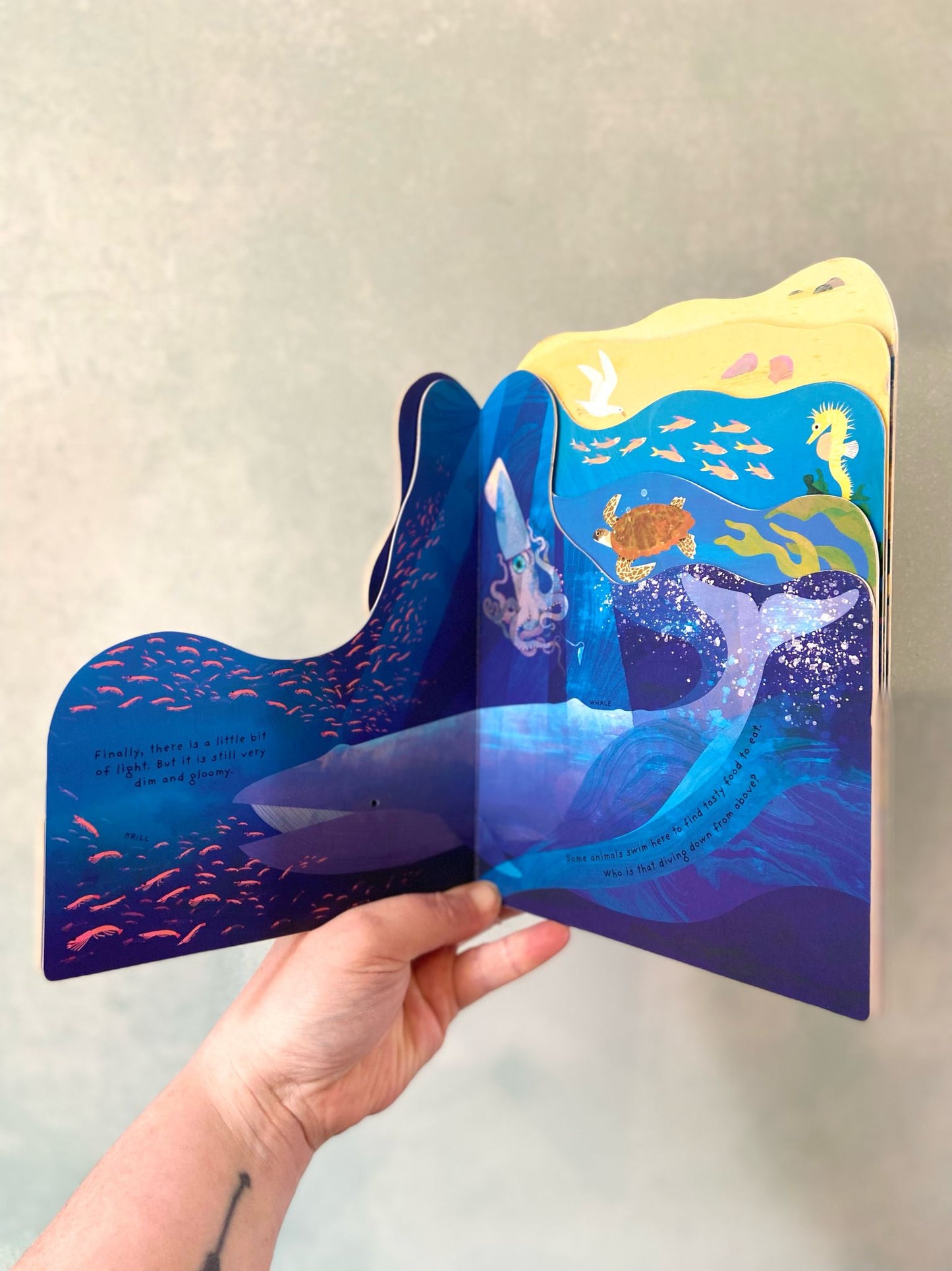 Animal Homes - Ocean Board Book by Natasha Durley