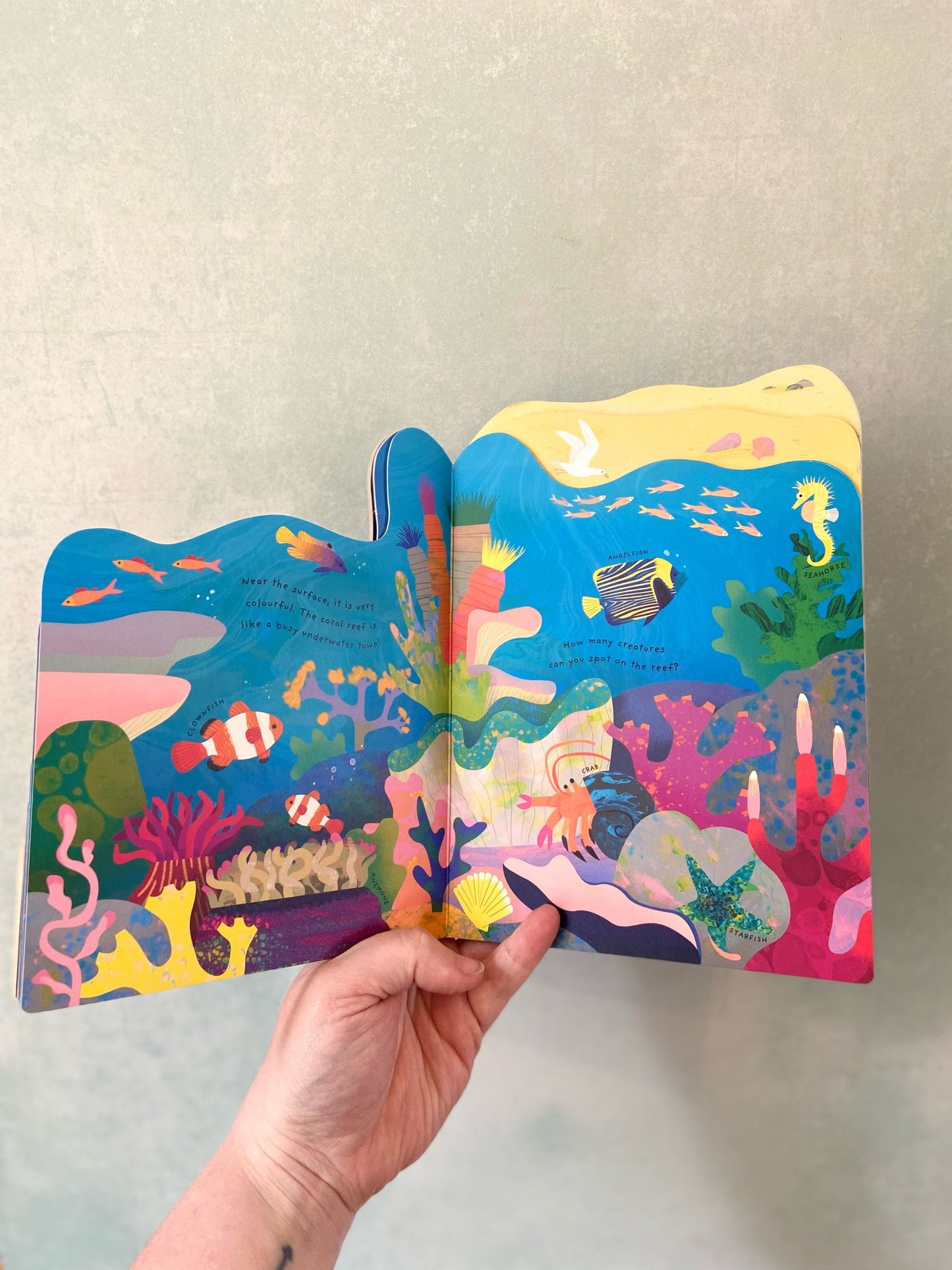 Animal Homes - Ocean Board Book by Natasha Durley