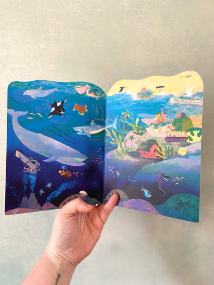 Animal Homes - Ocean Board Book by Natasha Durley