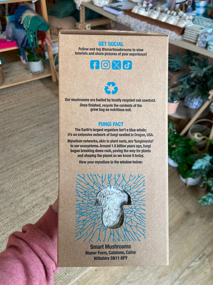 Grow Your Own Oyster Mushroom Kit, Blue & Gold