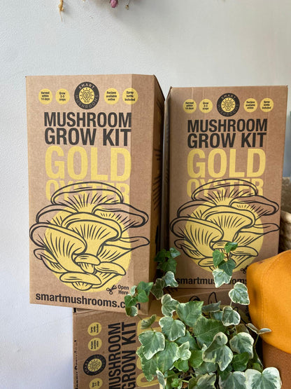 Grow Your Own Oyster Mushroom Kit, Blue & Gold