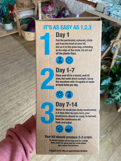 Grow Your Own Oyster Mushroom Kit, Blue & Gold