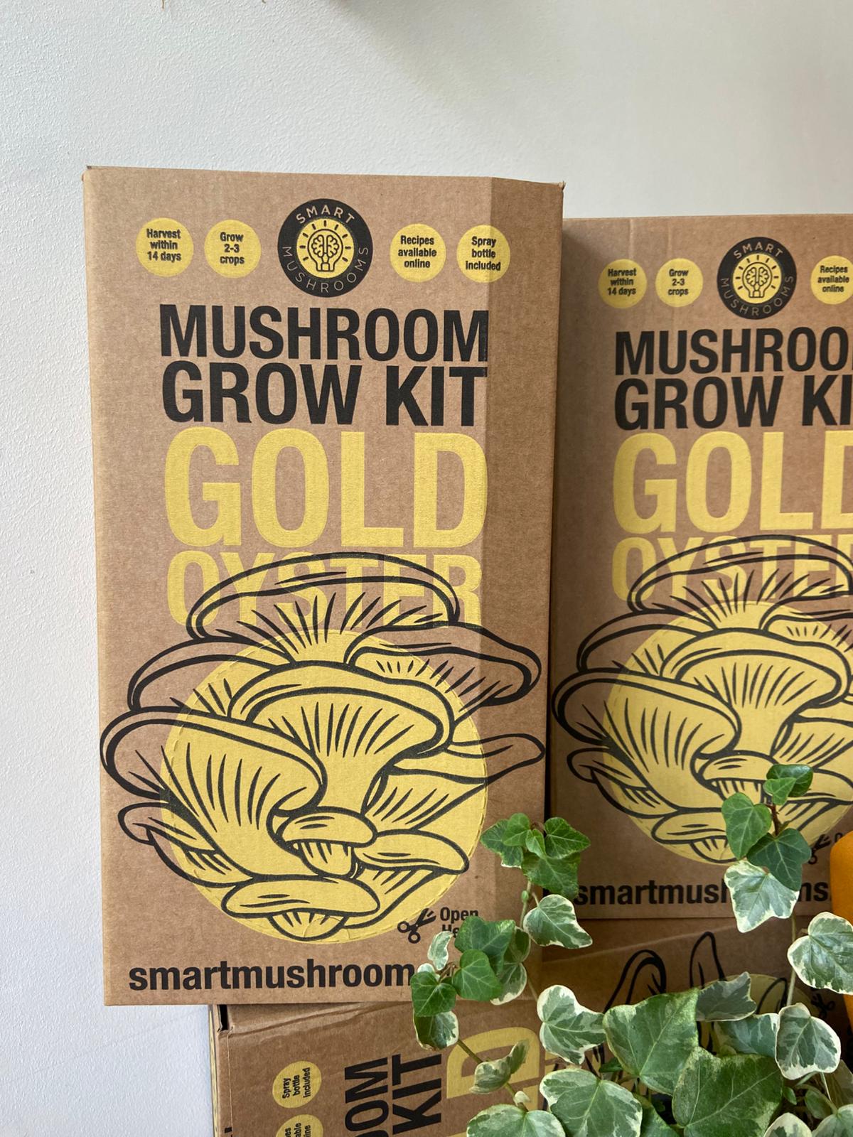 Grow Your Own Oyster Mushroom Kit, Blue & Gold