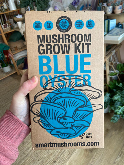 Grow Your Own Oyster Mushroom Kit, Blue & Gold