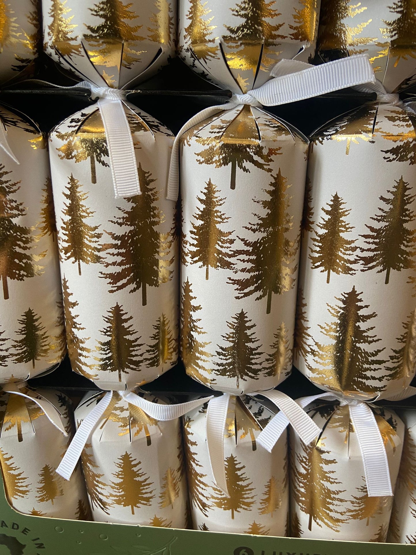 Holly & Ivy Luxury Christmas Crackers 6 pack