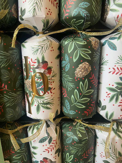 Holly & Ivy Luxury Christmas Crackers 6 pack