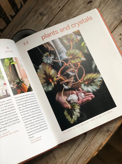 Plant Tribe: Living Happily Ever After with Plants