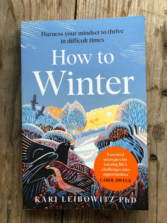 How To Winter by Kari Leibowitz