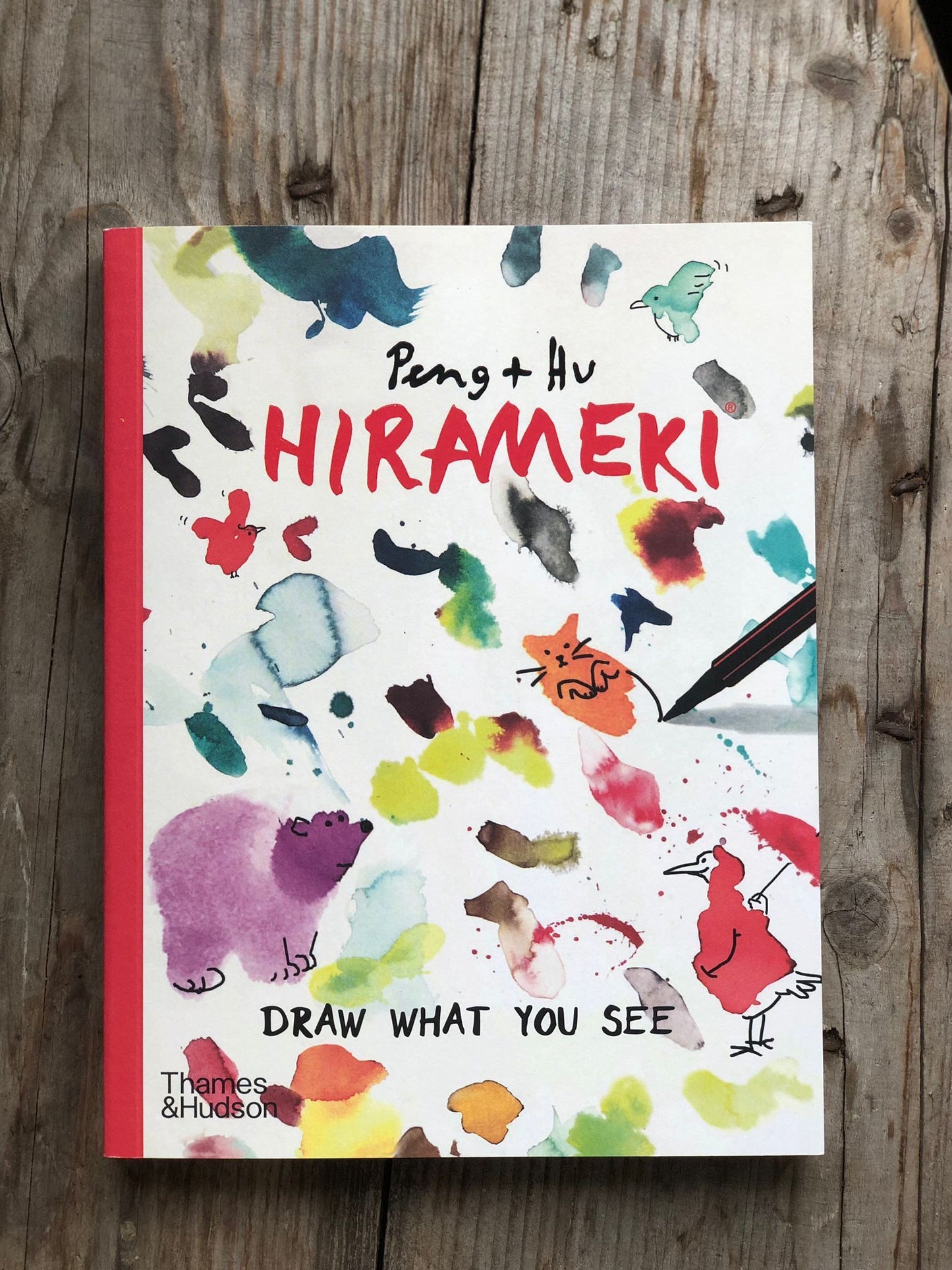 Hirameki: Draw What You See Book by Peng & Hu