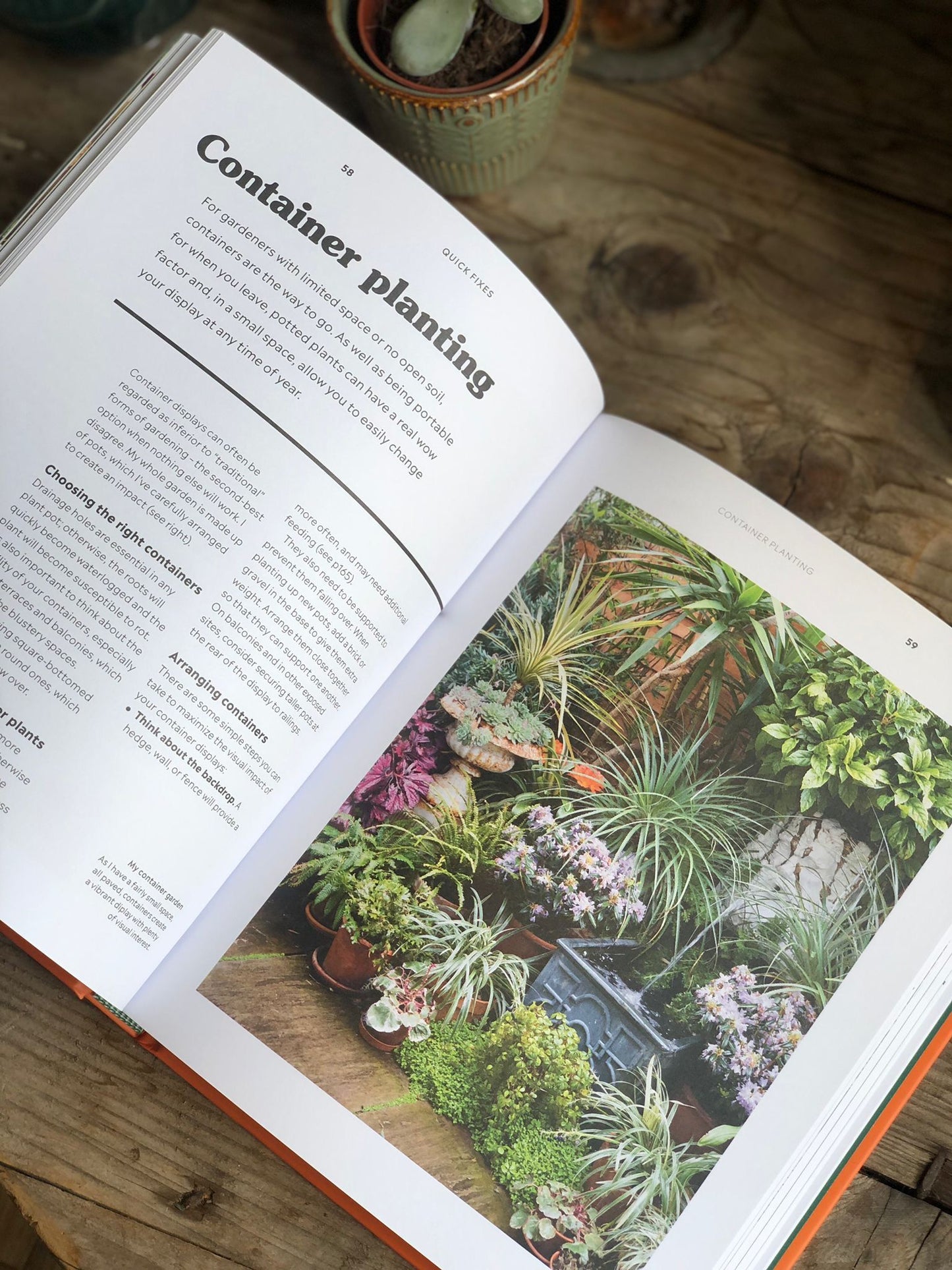 RHS How to Garden When You Rent