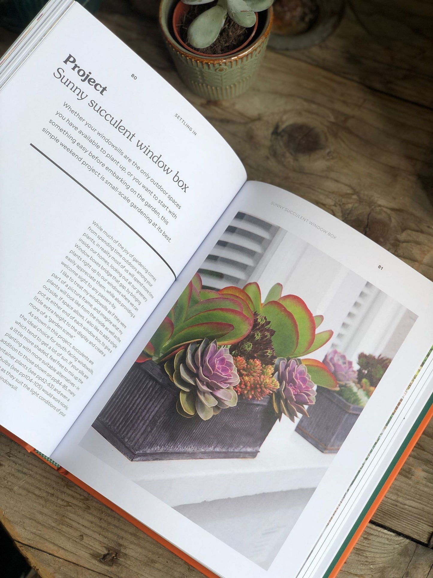 RHS How to Garden When You Rent