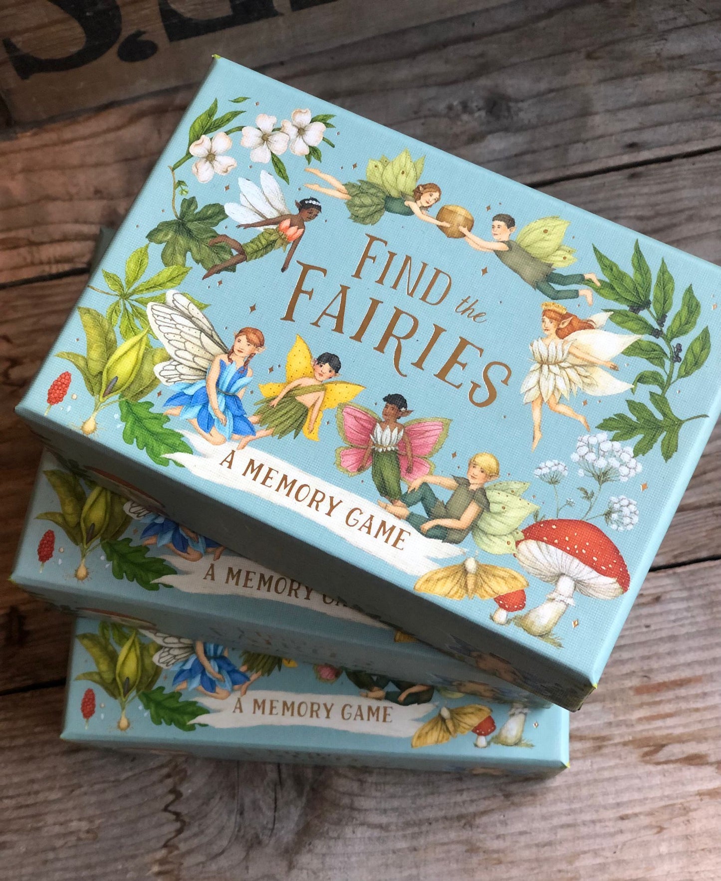 Find the Fairies Memory Game