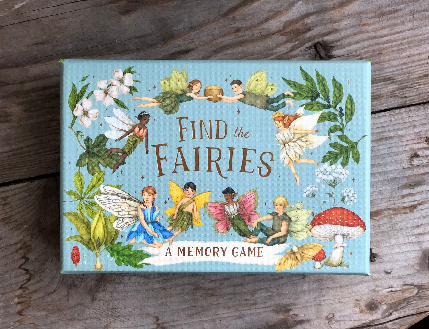 Find the Fairies Memory Game