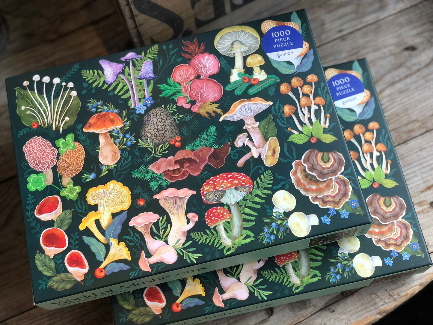 World Of Mushrooms 1000 Piece Jigsaw Puzzle