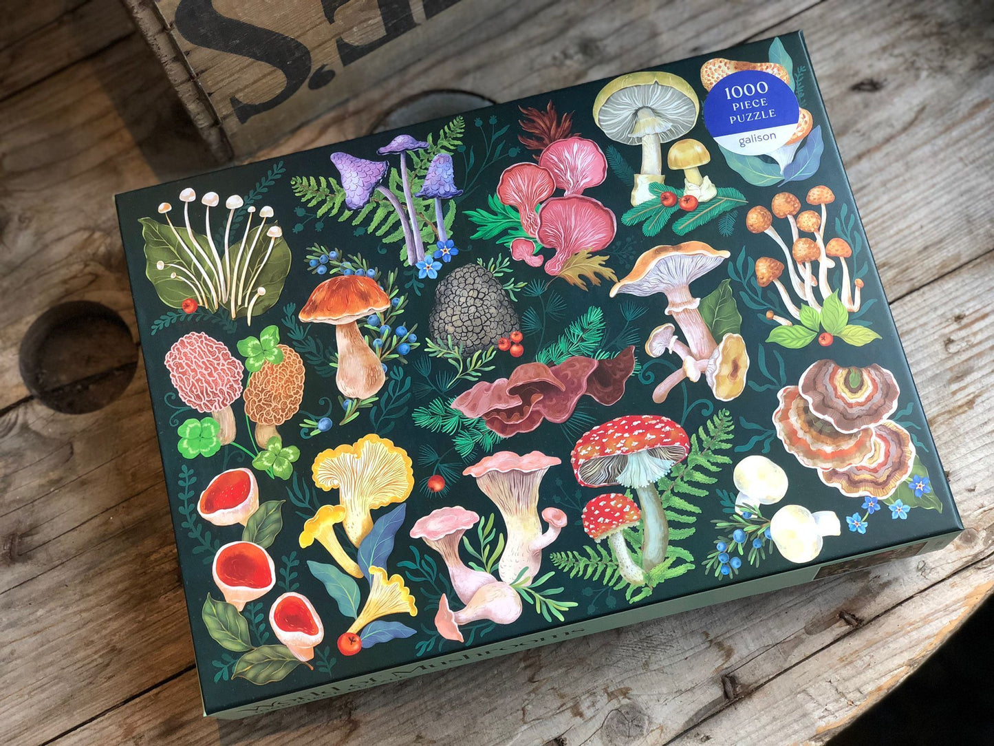 World Of Mushrooms 1000 Piece Jigsaw Puzzle