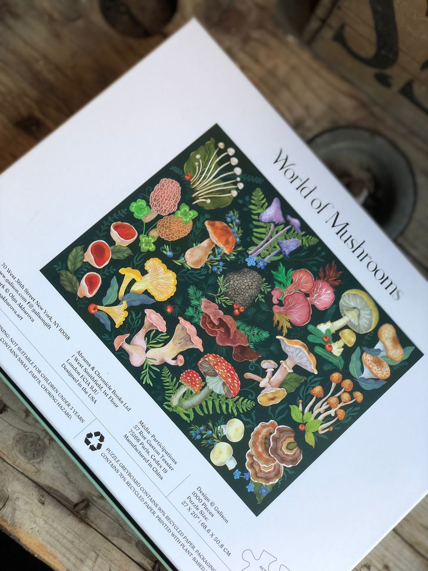World Of Mushrooms 1000 Piece Jigsaw Puzzle