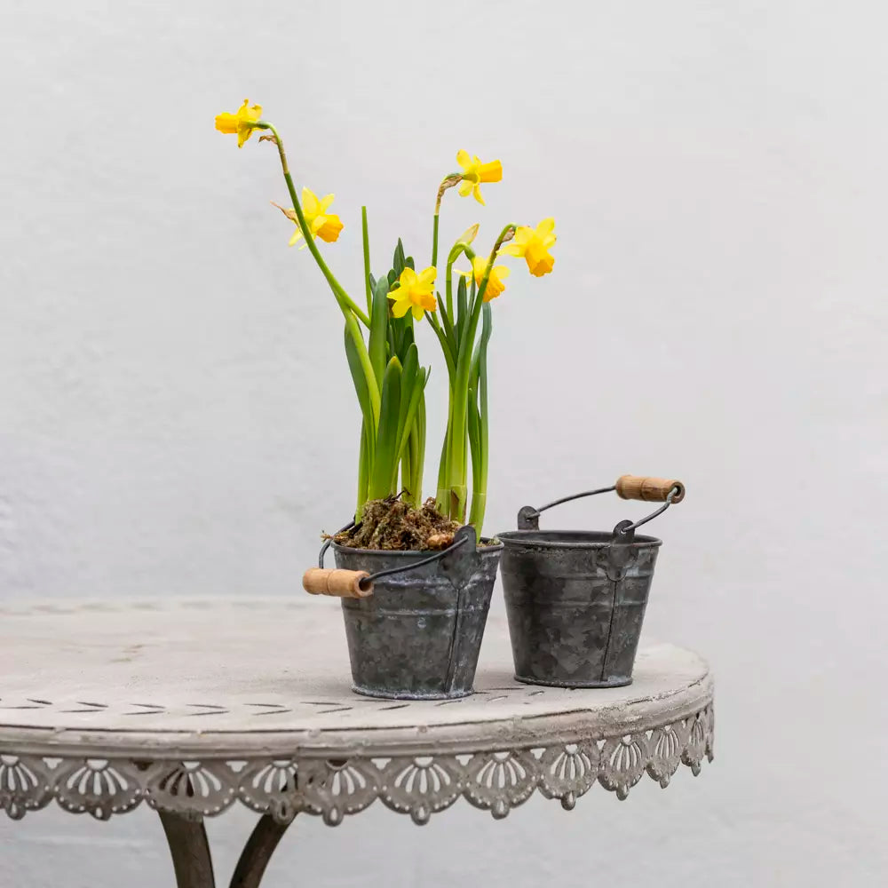 Zinc Mini Bucket Planter with Wooden Handle