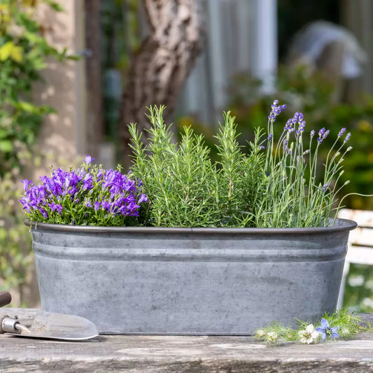 Zinc Oval Planters, 2 Sizes