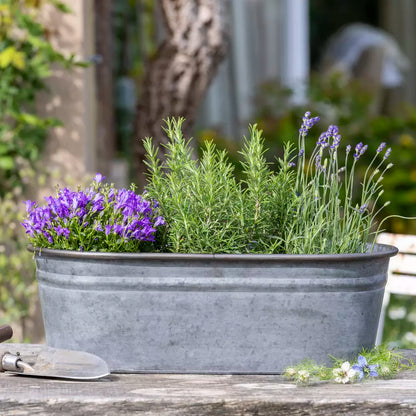 Zinc Oval Planters, 2 Sizes