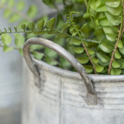 Tall Zinc Planters with Handles