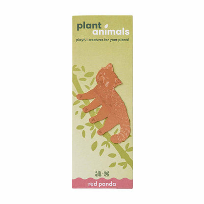 House Plant Animal - Red Panda