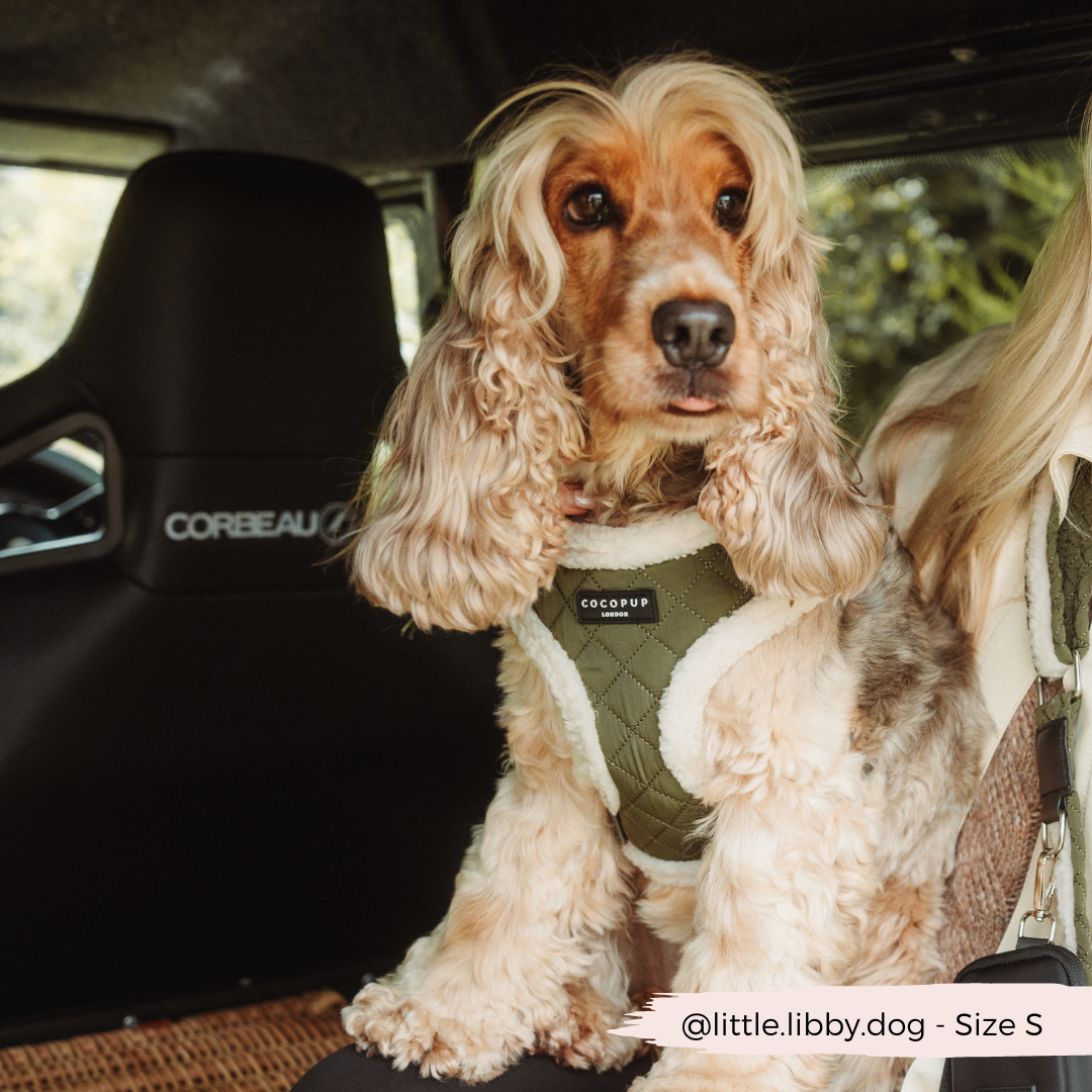 Khaki Quilted Adjustable Neck Dog Harness - Cocopup