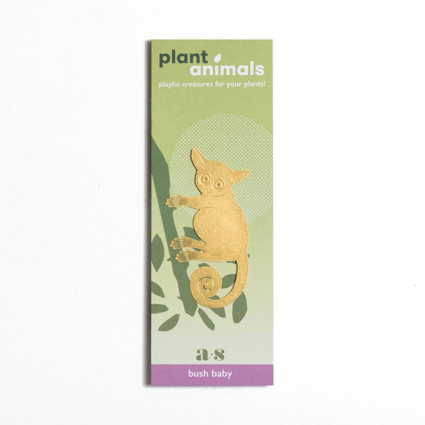 House Plant Animal - Bush Baby