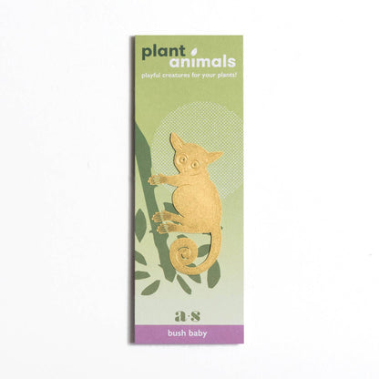 House Plant Animal - Bush Baby