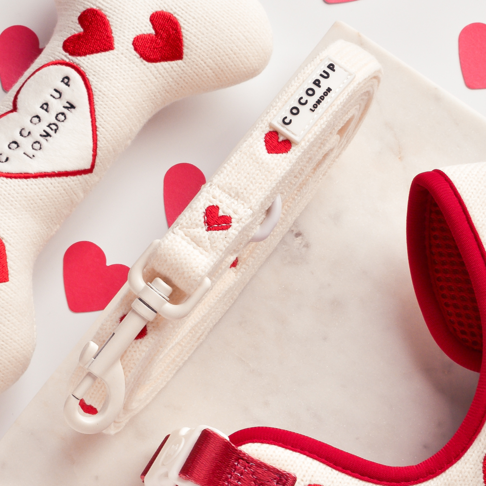 Love Hearts Hugs & Knitted Dog Lead - Cocopup