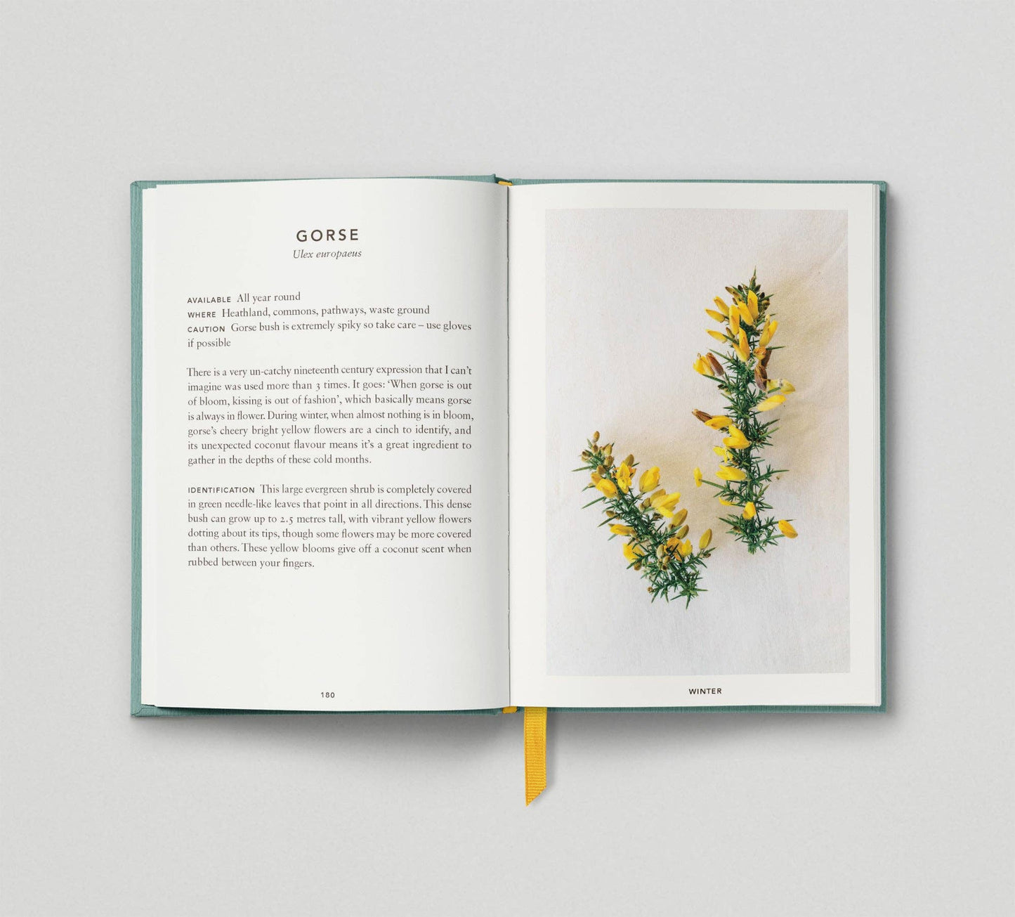 The Urban Forager: Find and Cook Wild Food in the City by Wross Lawrence & Marco Kesseler Book