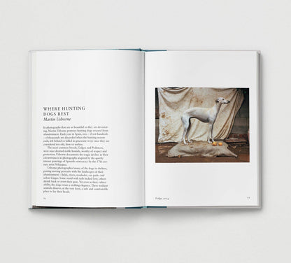 Dog. New Photography of the Dog Book by Jilke Golbach