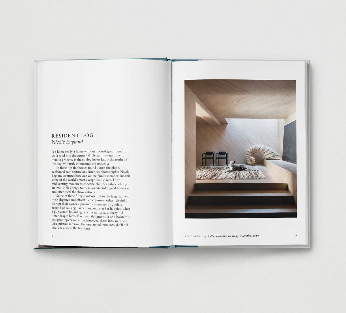 Dog. New Photography of the Dog Book by Jilke Golbach