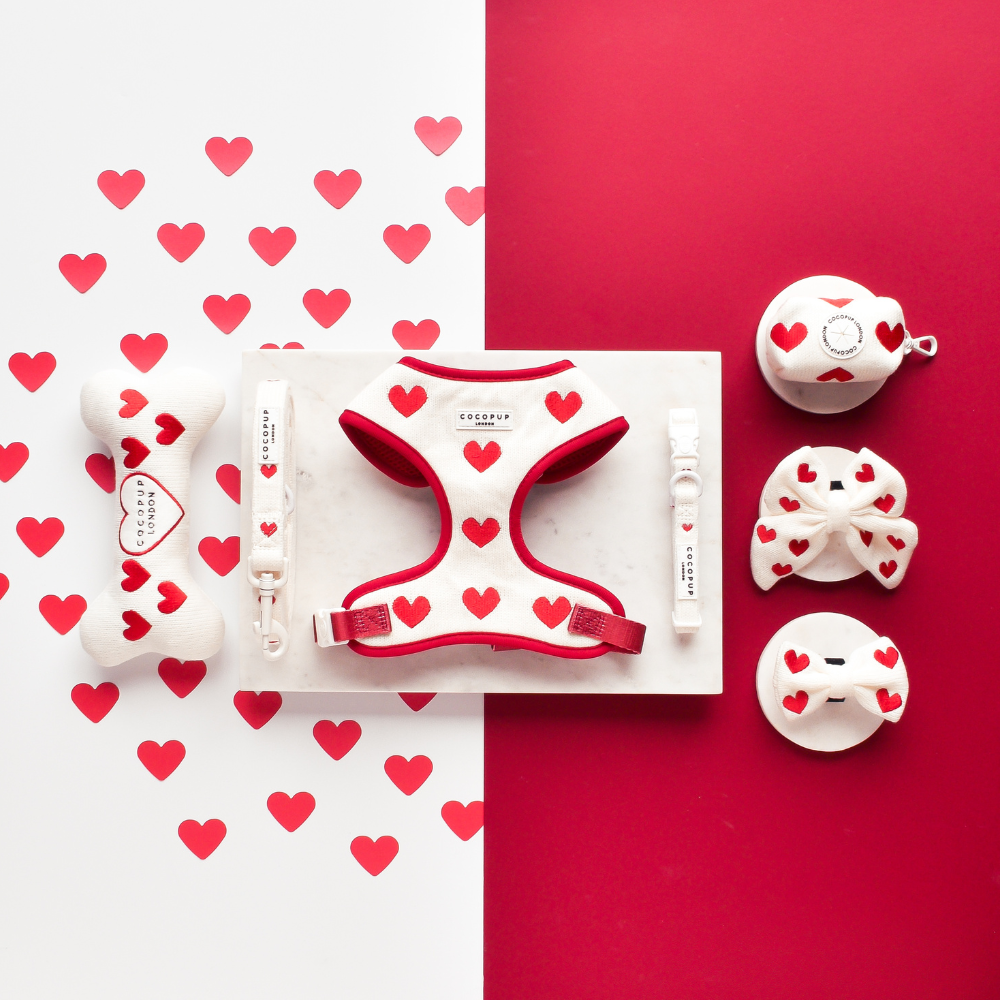 Love Hearts Hugs & Knitted Dog Lead - Cocopup