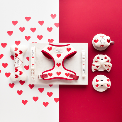 Love Hearts Hugs & Knitted Dog Lead - Cocopup