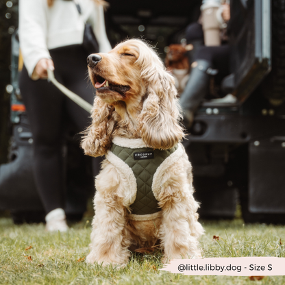 Khaki Quilted Adjustable Neck Dog Harness - Cocopup