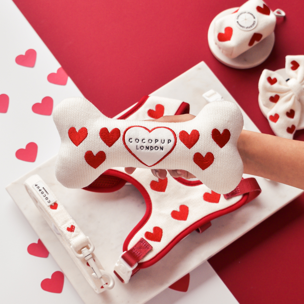 Love Hearts Hugs & Knitted Bone Dog Toy - Cocopup