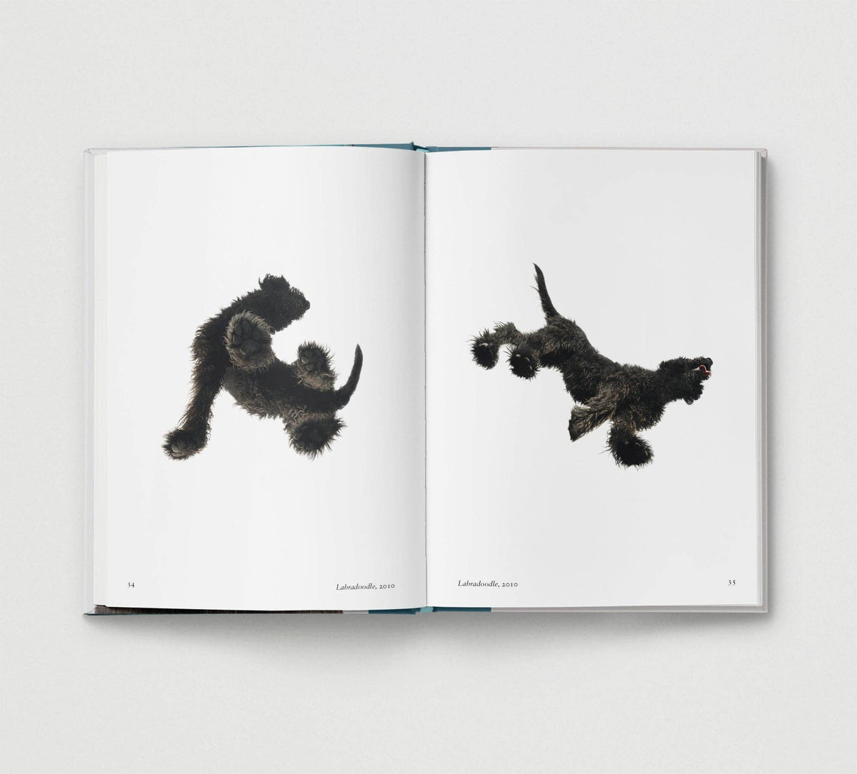 Dog. New Photography of the Dog Book by Jilke Golbach