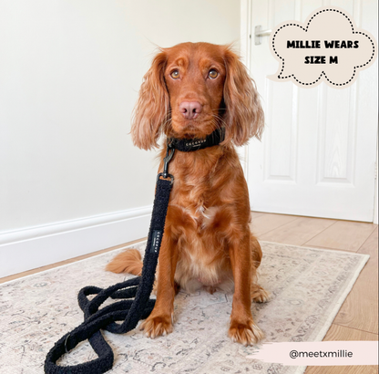 Teddy Dog Lead - Black