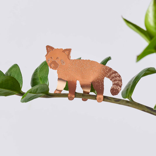 House Plant Animal - Red Panda