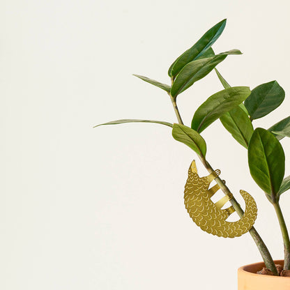 House Plant Animal - Pangolin