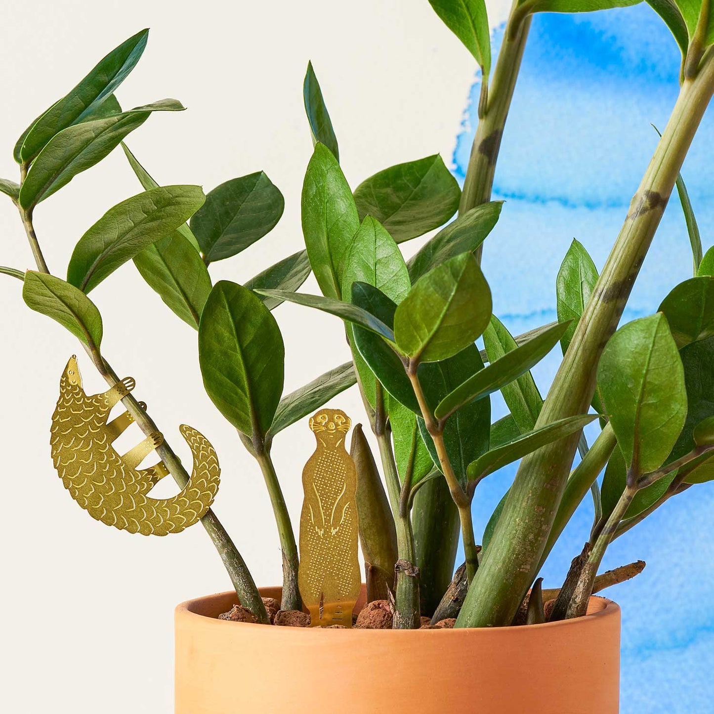 House Plant Animal - Meerkat
