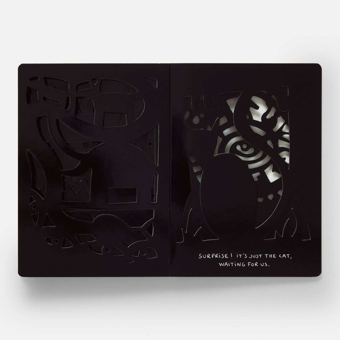 The Game of Shadows Childrens Book by Hervé Tullet