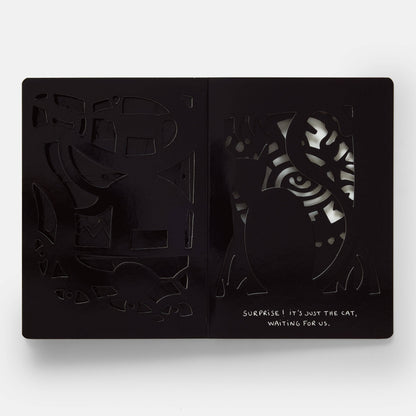 The Game of Shadows Childrens Book by Hervé Tullet